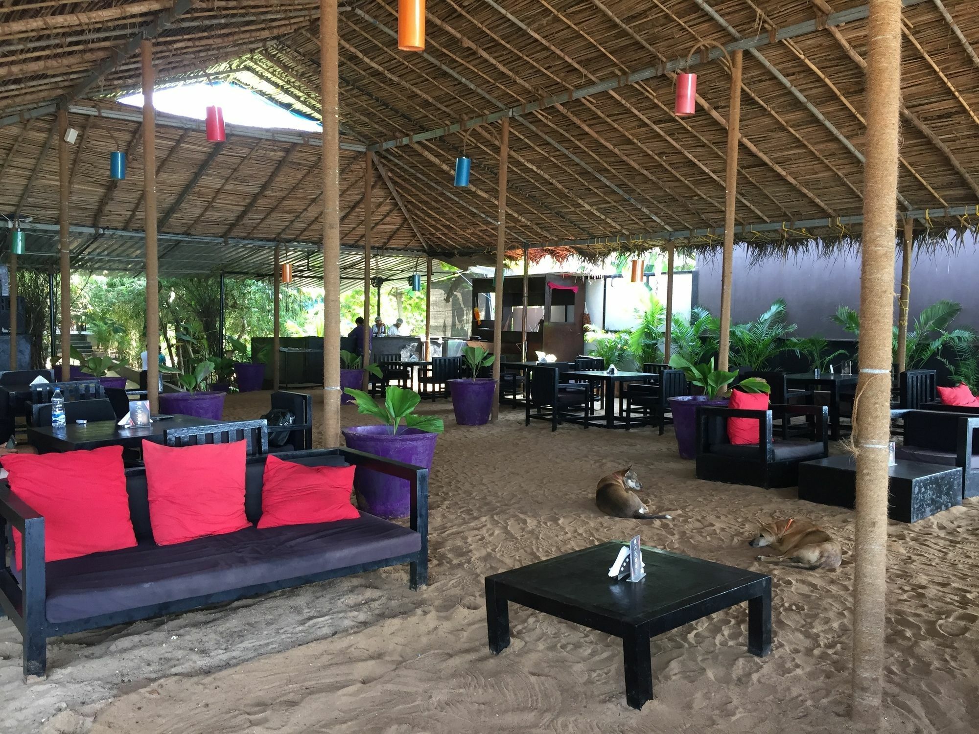 H2O Resort Agonda Eksteriør billede